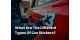 What Are The Different Types Of Car Stickers?