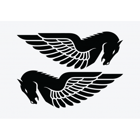 Buell Pegasus 2 Adhesive Vinyl Sticker