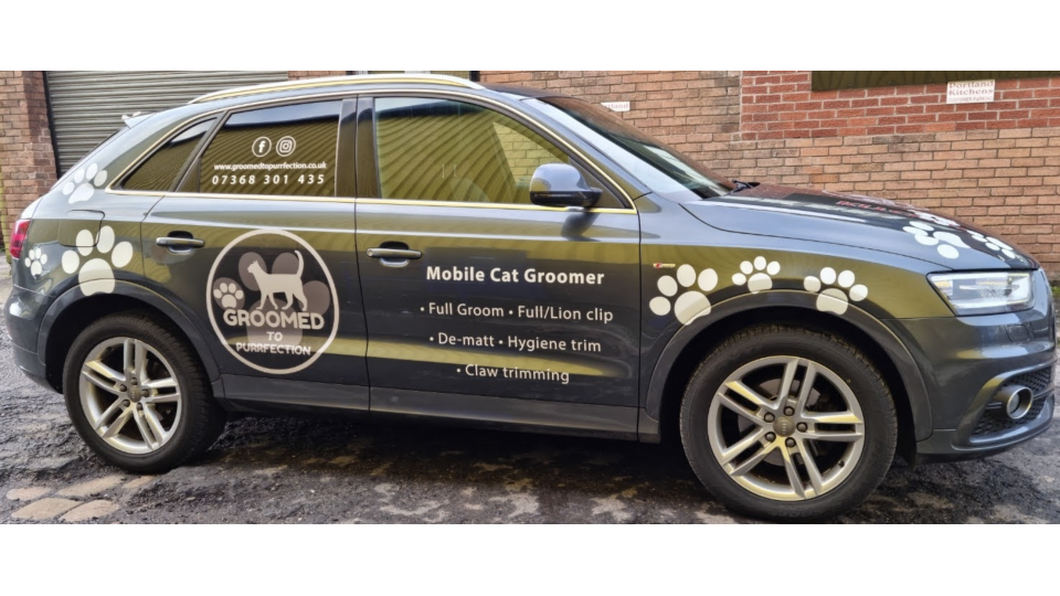 Drive Your Brand: The Power of Custom Car Stickers for Business Promotion