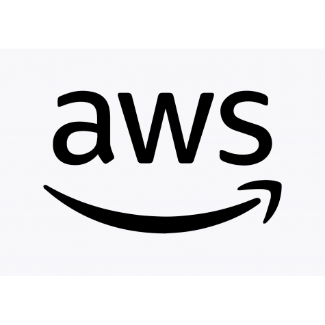 AWS F1 Adhesive Vinyl Sticker