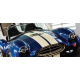 Racing Stripes Racing Stripes