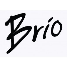 Hyundai Brio Adhesive Vinyl Sticker