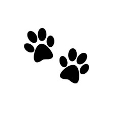 animal paw prints (pack of 20)