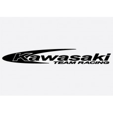 Kawasaki Badge 4 Adhesive Vinyl Sticker