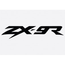 Kawasaki ZX-9R Badge Adhesive Vinyl Sticker