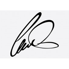 Lewis Signature Formula 1 Sticker