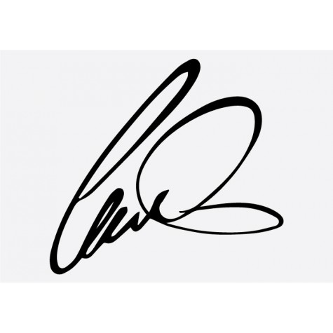 Lewis Hamilton Signature Formula 1 Sticker