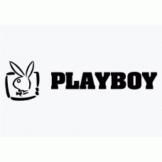 Playboy Bunny Vinyl Sticker 3