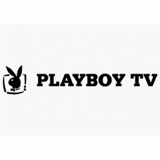 Playboy Bunny Vinyl Sticker 4