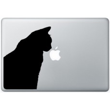 MacBook Cat Perching