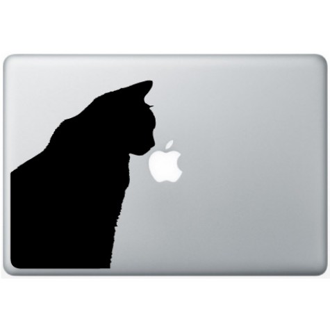 MacBook Cat Perching