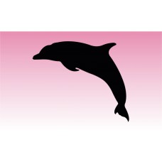 Dolphin 1 Girly Graphic
