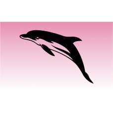 Dolphin 2 Girly Graphic