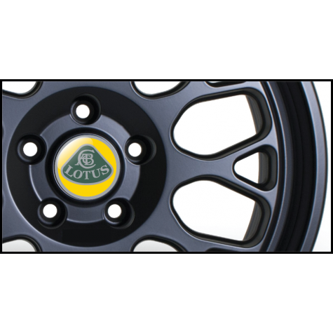 Lotus Gel Domed Wheel Badges (Set of 4)