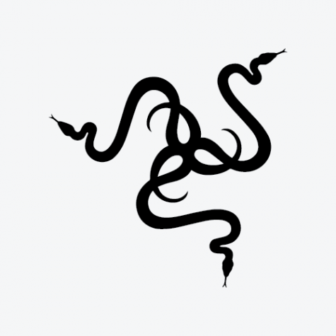 Razer Gaming Sticker