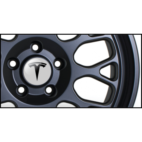 Tesla Gel Domed Wheel Badges (Set of 4)