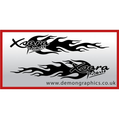 Logo flames : Xsara Picasso