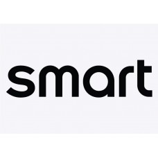 Smart Car Badge Adhesive Vinyl Sticker #1