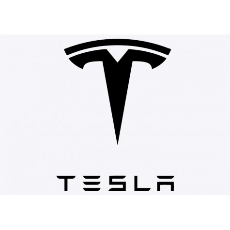 Tesla Badge Adhesive Vinyl Sticker #1