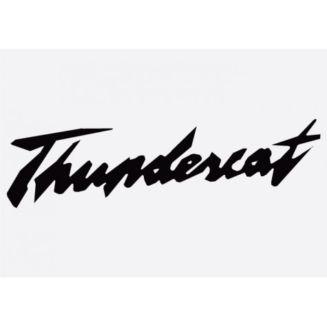 Yamaha Thundercat Badge Adhesive Vinyl Sticker