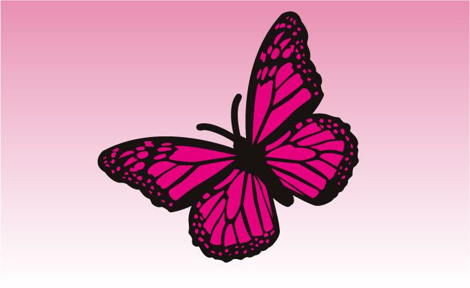 girly stickers car graphics by demon graphics makers of high