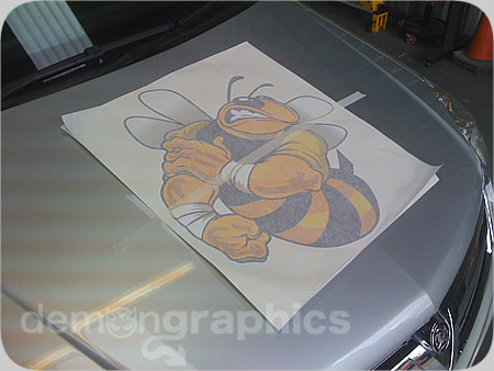 Fitting car stickers bad bee 1