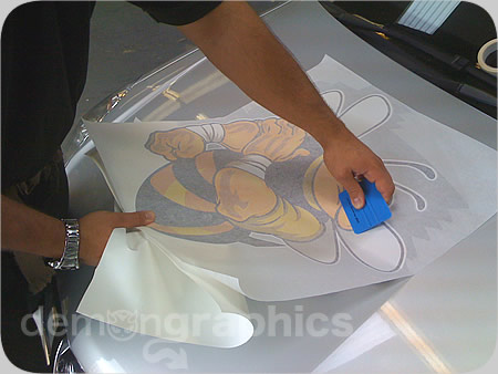 Fitting car stickers bad bee 4