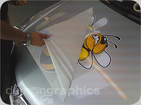 Fitting car stickers bad bee 5