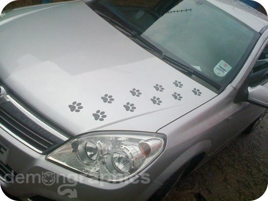 animal paw prints (pack of 20) animal paw prints (pack of 20)