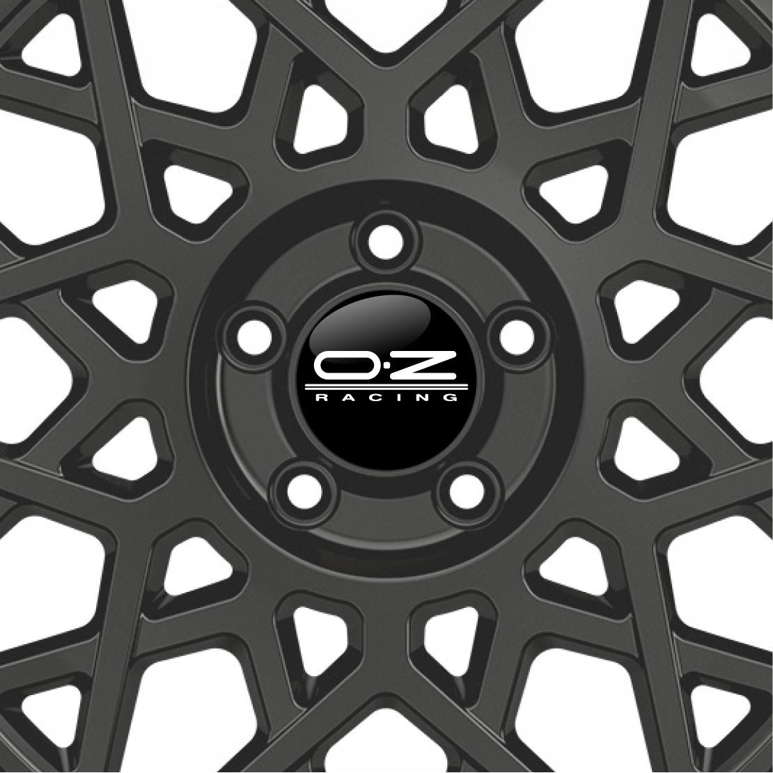 Wheel Racing Badge OZ Racing Gel Domed Wheel Badges (Set of 4) - Demon Graphics
