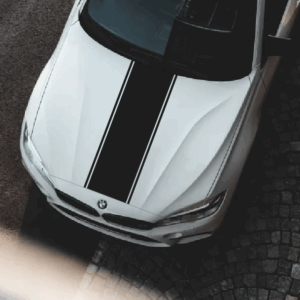 GT Line Racing Stripe Graphics