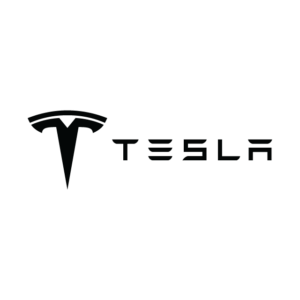 Tesla Badge Vinyl Decal (Pair)
