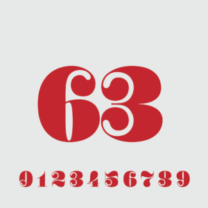 Elegant Motorcycle Race Numbers (Pack of 3)